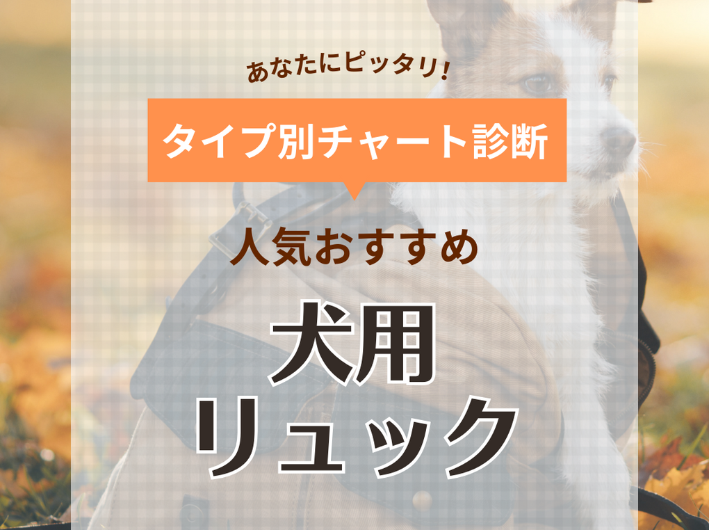 犬用リュック人気おすすめ20選【小型犬・中型犬】重たい子でも持ちやすいキャリーバッグ！