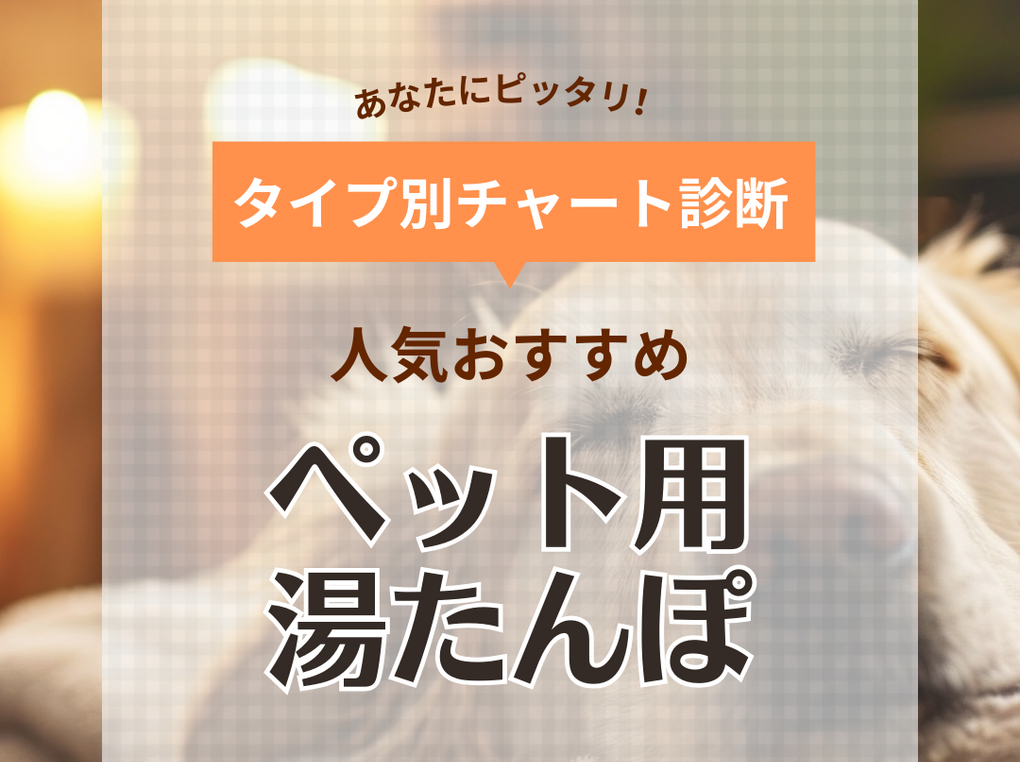 ペット用湯たんぽ人気おすすめ6選【冬支度はOK？】動物病院院長厳選の商品も