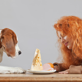 犬用チーズおすすめ5選｜犬はチーズを食べれる？プロが詳しく解説！
