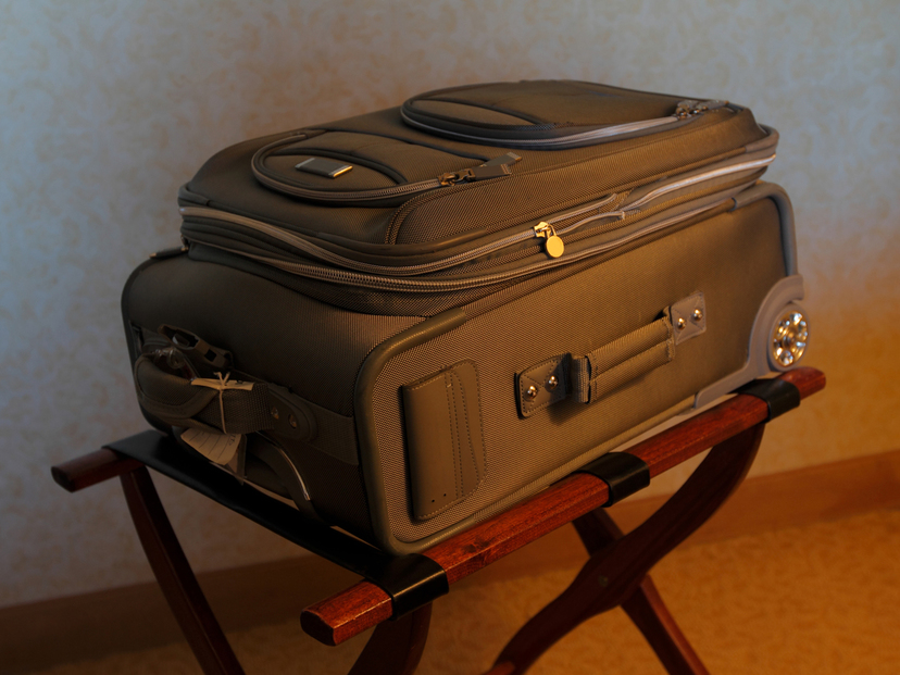 フロントオープンスーツケースおすすめ9選｜荷物の出し入れかんたん【エースやプロテカも】 | マイナビおすすめナビ
