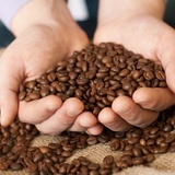 【2023年】おいしいカフェインレスコーヒーおすすめ29選｜人気のスタバ・無印も
