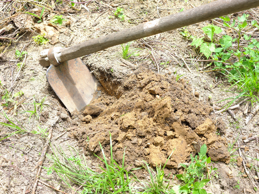 鍬（くわ）人気おすすめ9選【農作業・草取りに】たけのこ堀り向け商品など種類別に紹介 マイナビおすすめナビ