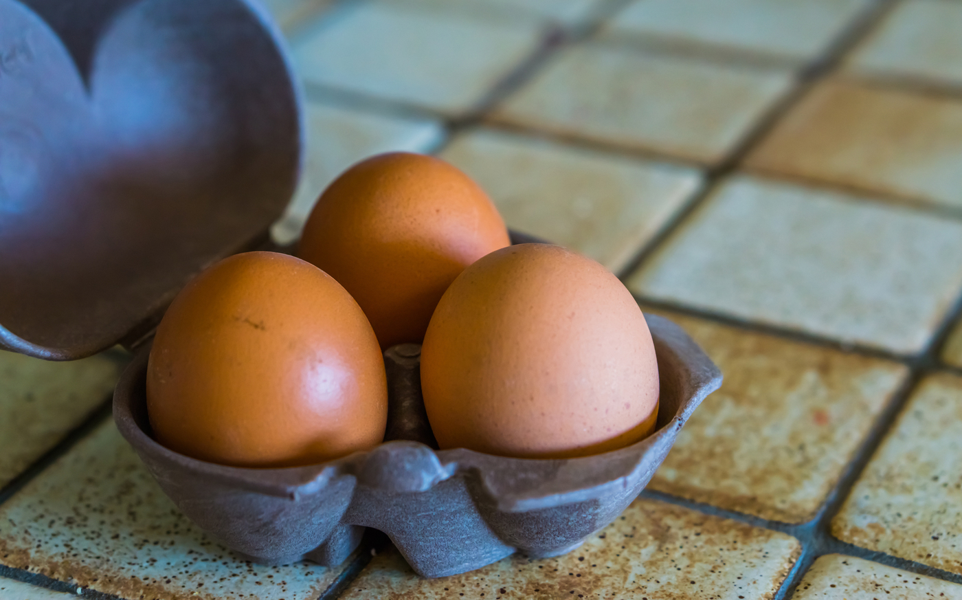 卵ケースのおすすめ7選｜引き出し式やアウトドア向けの商品も紹介 | マイナビおすすめナビ