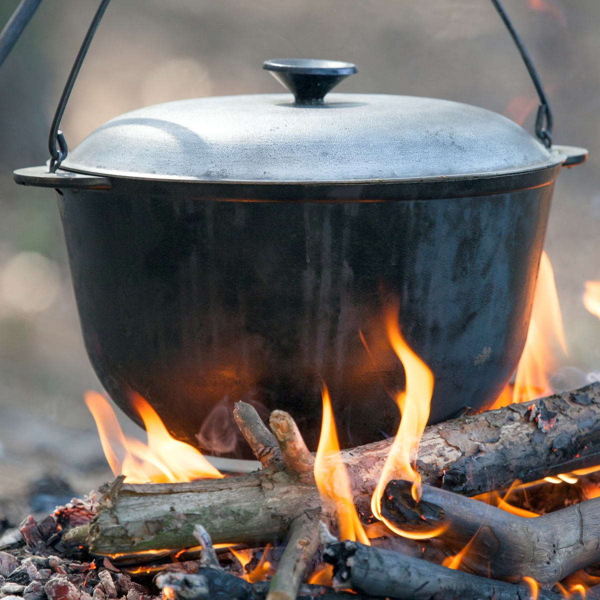 鋳鉄製ダッチオーブンおすすめ5選｜快適なアウトドアライフを！ 【煮る、焼く、蒸す】 | マイナビおすすめナビ