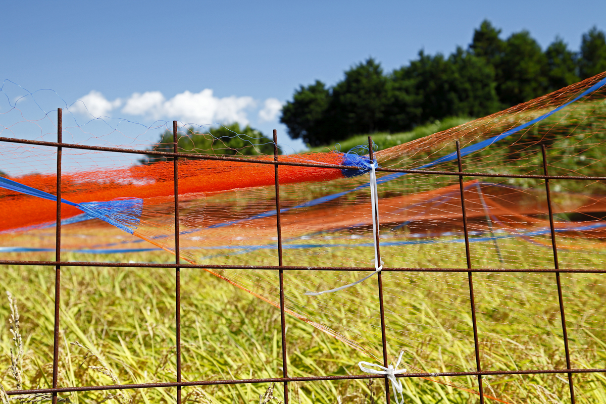 防鳥網（ネット）のおすすめ12選｜カラス・ハト・害虫対策に！ | マイナビおすすめナビ