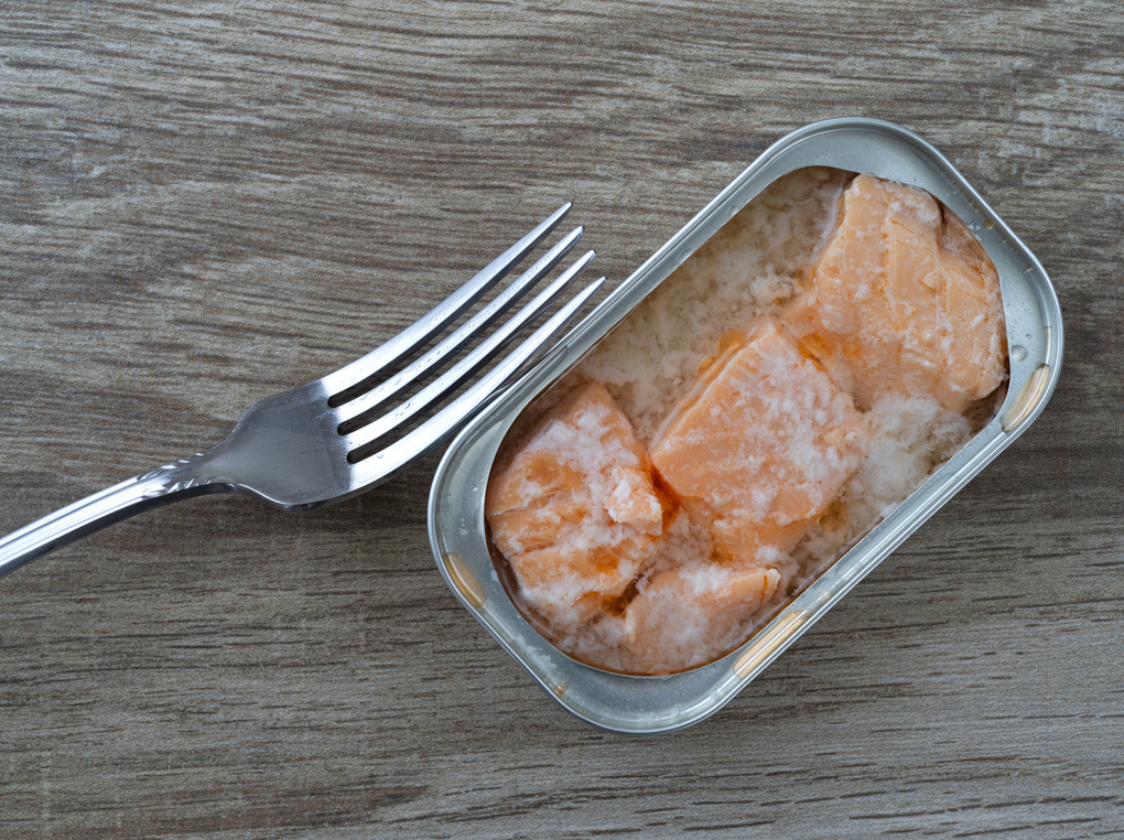 鮭缶おすすめ11選｜水煮・味付け・フレークタイプをご紹介【おつまみにも】