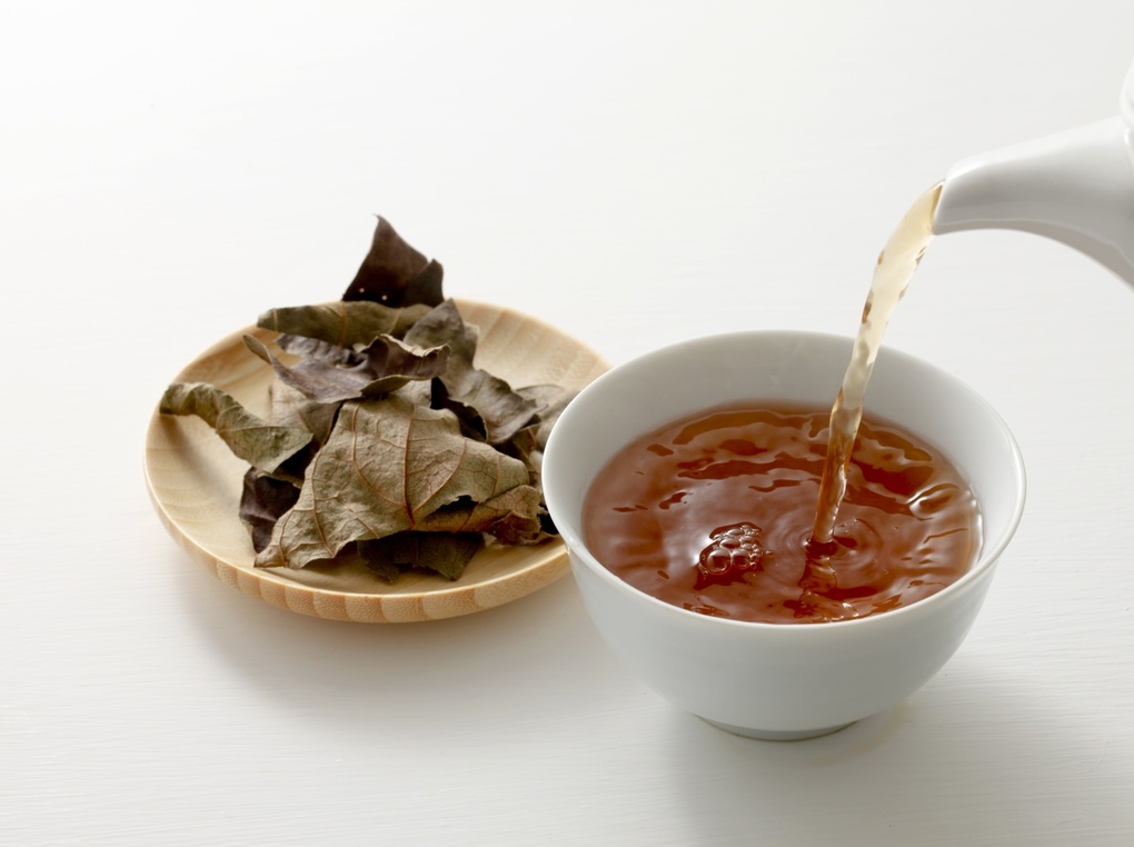 柿の葉茶おすすめ8選【ビタミンCが豊富】健康維持をサポート！ 