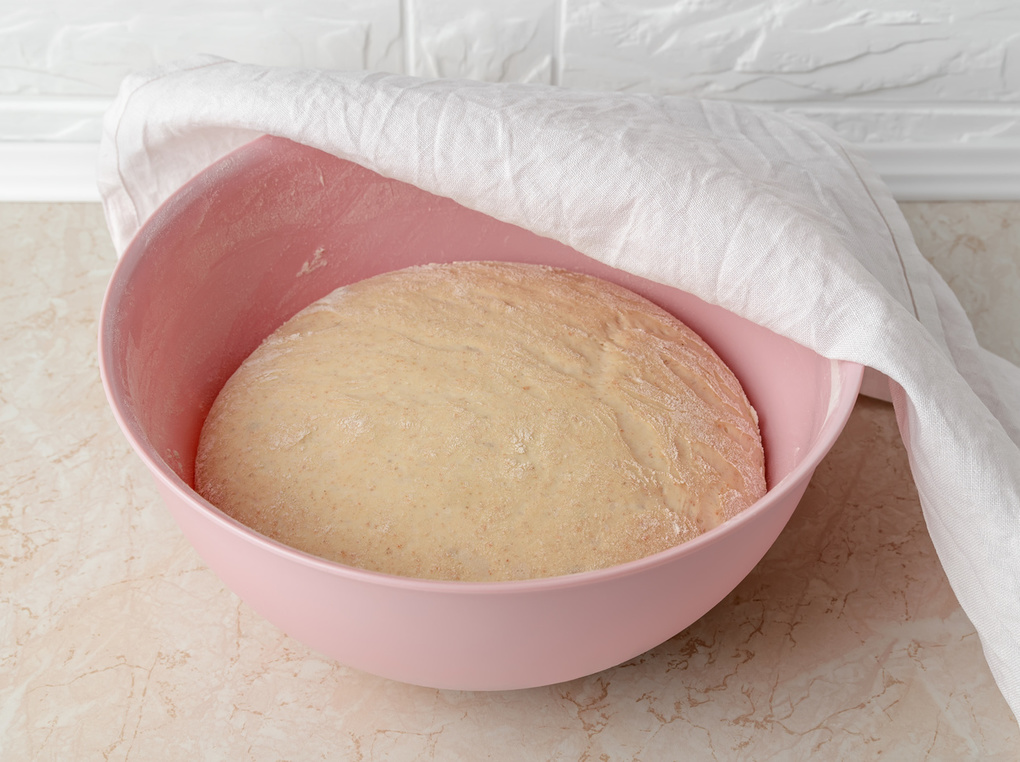 家庭用パン発酵器おすすめ5選｜自宅でふわふわパンやヨーグルトを楽しむ！