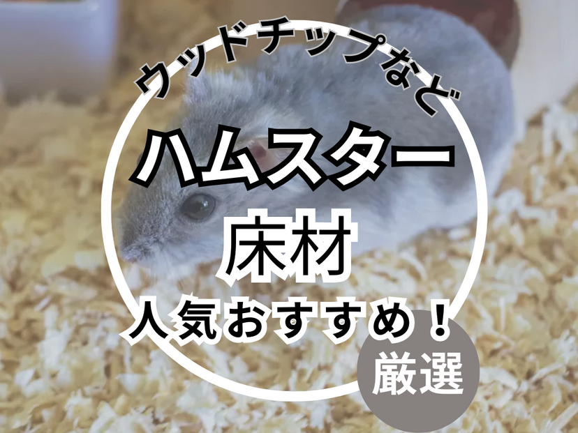 ハムスターの床材人気おすすめ13選！アレルギーになりにくく食べ