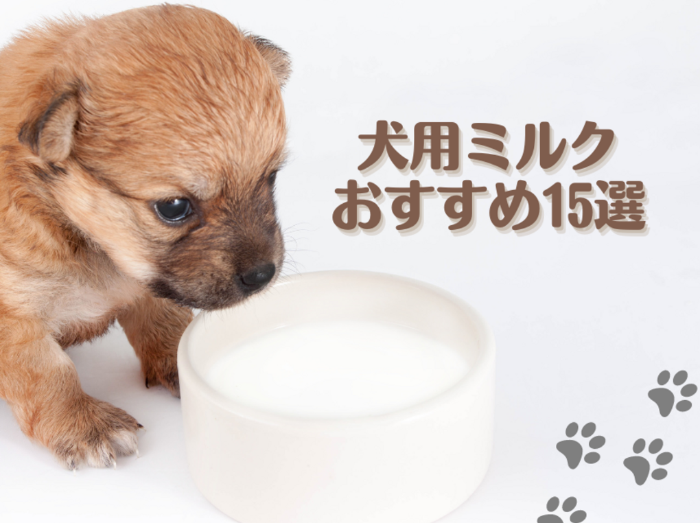 犬用ミルクおすすめ15選【液体・粉末】子犬やシニア犬向けの選び方や