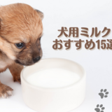 犬用ミルクおすすめ15選【液体・粉末】子犬やシニア犬向けの選び方や与え方も