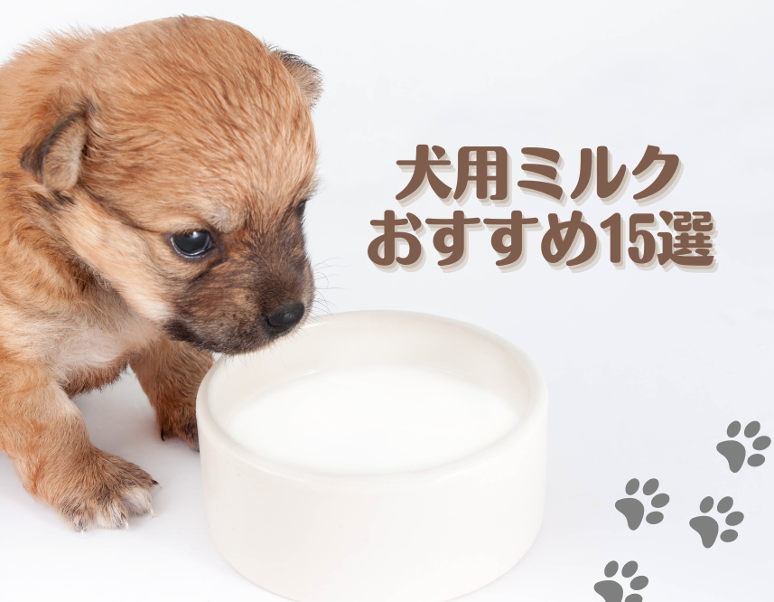 犬用ミルクおすすめ15選【液体・粉末】子犬やシニア犬向けの選び方や