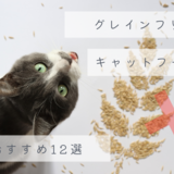 市販のグレインフリーキャットフード人気おすすめ14選｜穀物アレルギーの猫ちゃんに