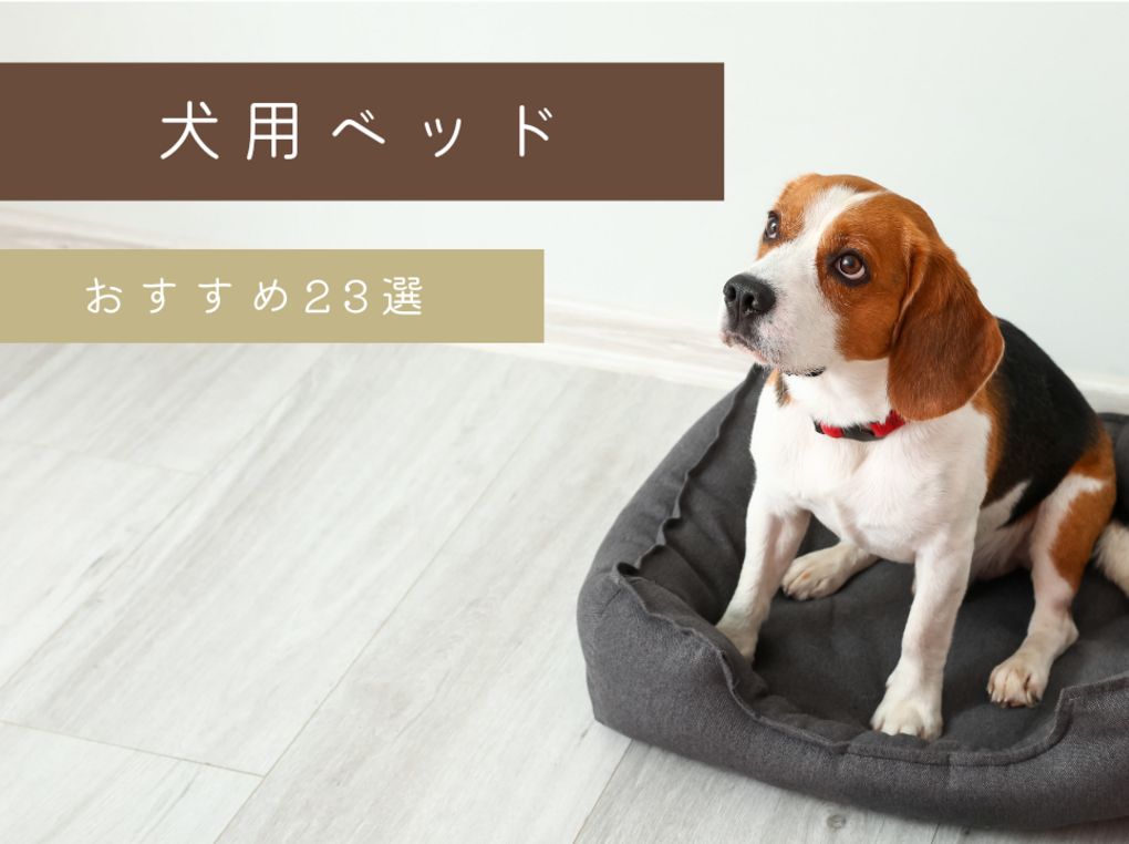 犬用ベッド人気おすすめ23選｜おしゃれ・洗える・かわいい商品も