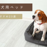 【2023年】犬用ベッド人気おすすめ23選｜おしゃれ・洗える・かわいい商品も