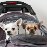 犬用バギーおすすめ9選｜旅行やお出かけに【おしゃれな小型犬、中型犬、多頭用も】