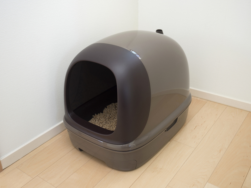 猫用システムトイレ人気おすすめ8選！おしっこの処理が圧倒的にラクになる