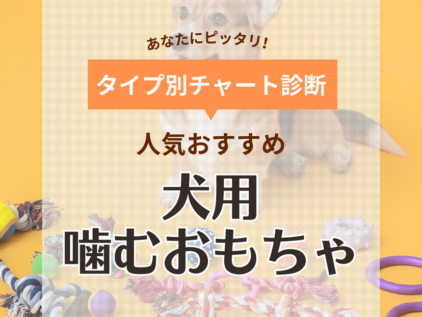 犬用噛むおもちゃ人気おすすめ21選【安全に遊ぼう！】壊れない＆破れないおもちゃはどれ？