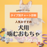 犬用噛むおもちゃ人気おすすめ21選【安全に遊ぼう！】壊れない＆破れないおもちゃはどれ？