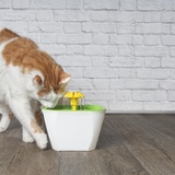 猫用自動給水器おすすめ10選｜お手入れ簡単！ コードレス、衛生的なフィルター付きも