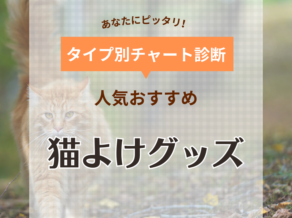 猫よけグッズ人気おすすめ11選！庭や畑の糞尿対策に！ 猫に優しい商品も紹介