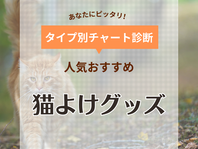 猫よけグッズ人気おすすめ11選！庭や畑の糞尿対策に！ 猫に優しい商品も紹介