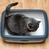 猫用トイレマットのおすすめ9選｜猫砂の飛び散りやズレを防ぐ