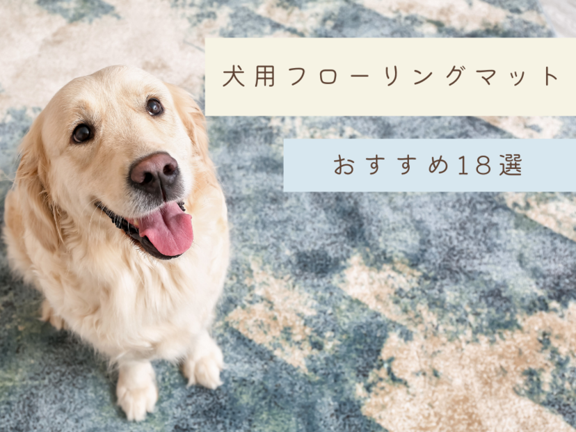 犬用マットおすすめ18選｜フローリングで愛犬が滑らないマットGET