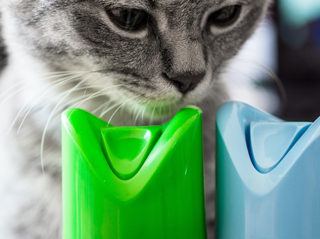 犬猫用の消臭剤人気おすすめ13選！ペットが舐めても安全なスプレーや置き型も