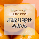 お取り寄せみかんの人気おすすめ12選！甘くておいしい品種や産地の特徴も解説