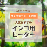 インコ用ヒーター人気おすすめ8選！カバーやサーモスタット付きなど