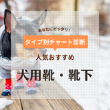 犬用靴＆靴下の人気おすすめ14選【脱げない・履かせやすい】夏場や雪道でも安心