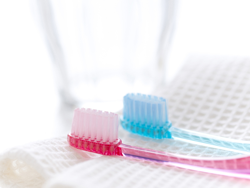 手磨き用歯ブラシおすすめ28選｜正しい持ち方や磨き方、交換時期についても解説