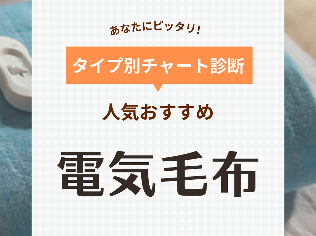 MORITA 洗える電気敷毛布 140×80cm ぽい 室温センサー付 ダニ MORITA 洗える電気敷毛布 140×80cm ぽい 室温センサー付 ダニ
