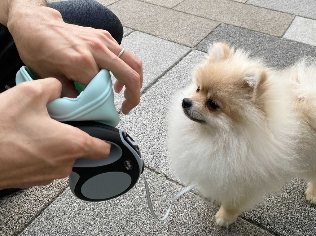 【愛犬の散歩に】おやつを入れるトリーツポーチって？ 便利さを実際に使って検証！