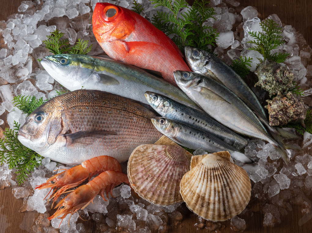 ふるさと納税の魚介類について解説！高い還元率や人気の品を紹介