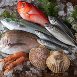 ふるさと納税の魚介類について解説！高い還元率や人気の品を紹介