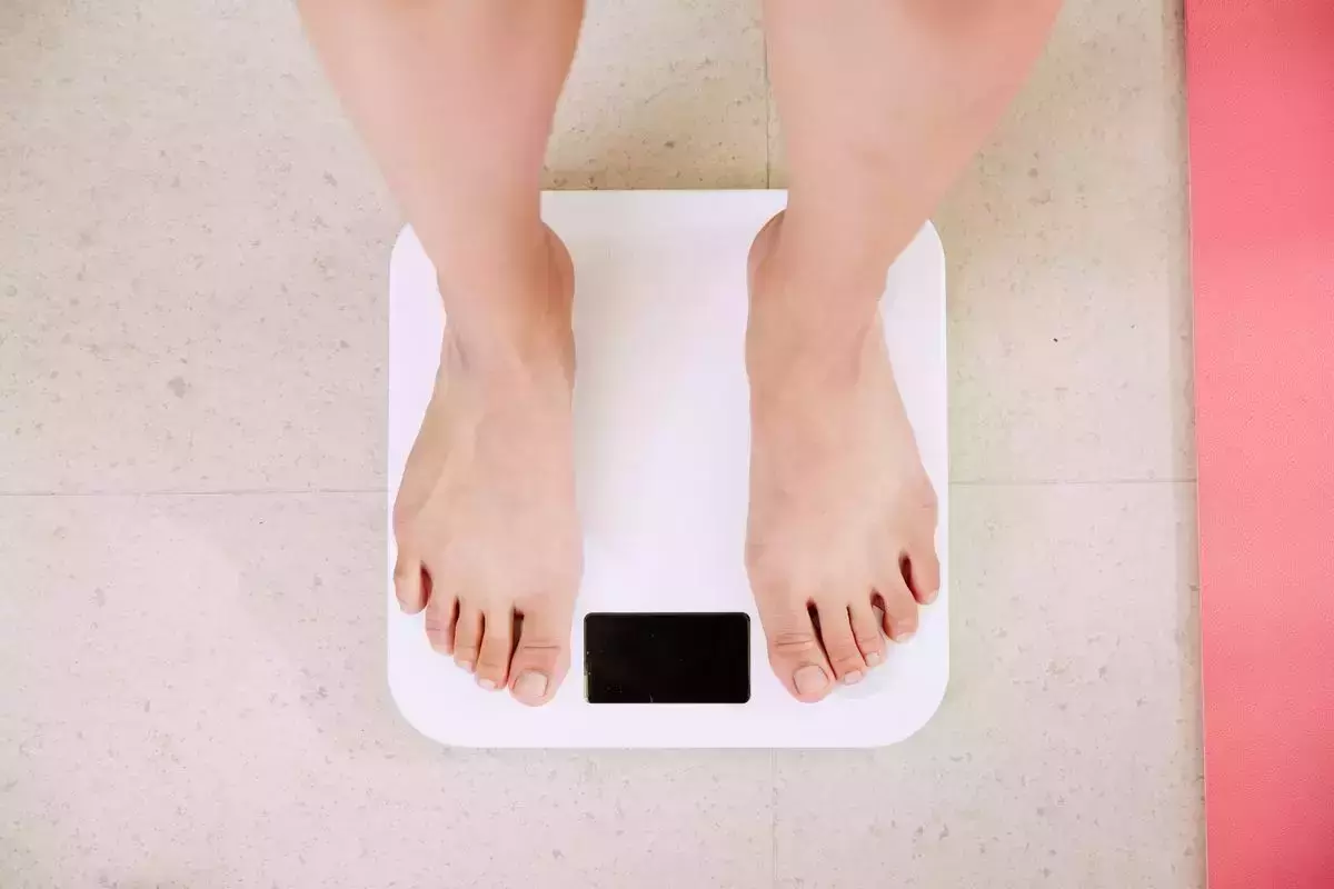 体脂肪が測れる体重計（体組成計）おすすめ15選｜高機能商品や有名メーカーも紹介 | マイナビおすすめナビ