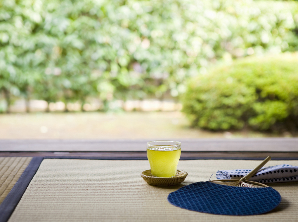 500mlペットボトルのお茶人気おすすめ12選！緑茶、ほうじ茶など【24本ケースも】