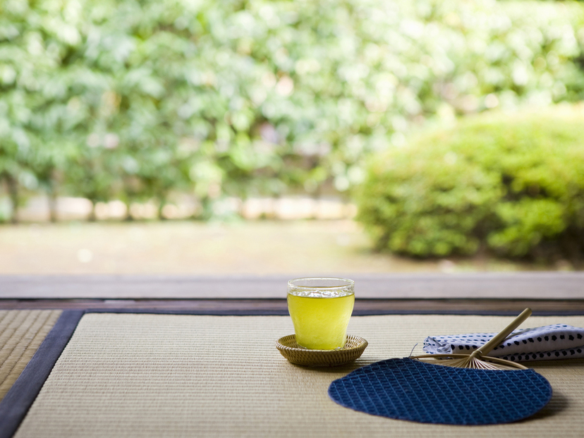 500mlペットボトルのお茶人気おすすめ12選！緑茶、ほうじ茶など【24本ケースも】