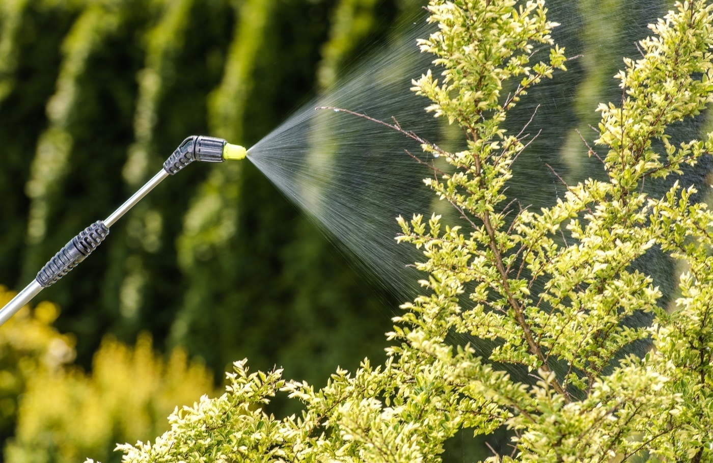 強力タイプの除草剤おすすめ8選｜速攻で効果を実感！持続性が長い