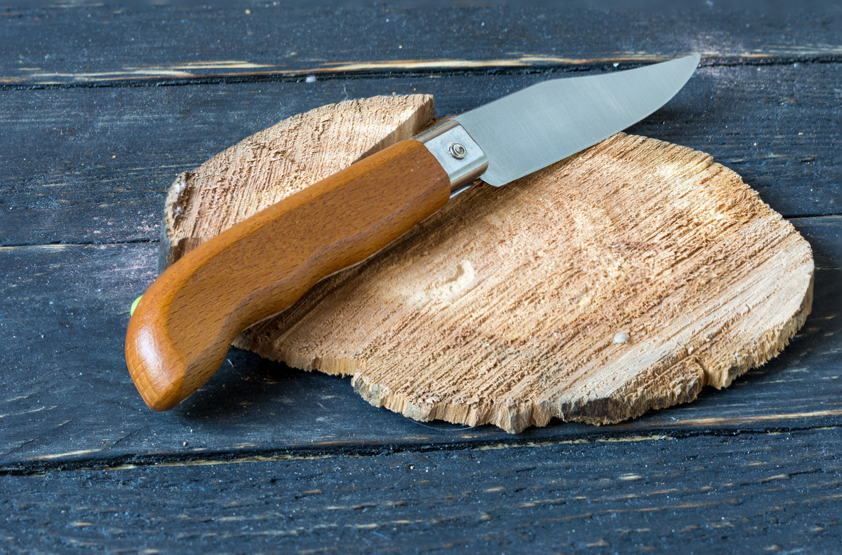 アウトドアナイフおすすめ13選 薪割りや料理にも 刃の素材を特徴別に解説 マイナビおすすめナビ