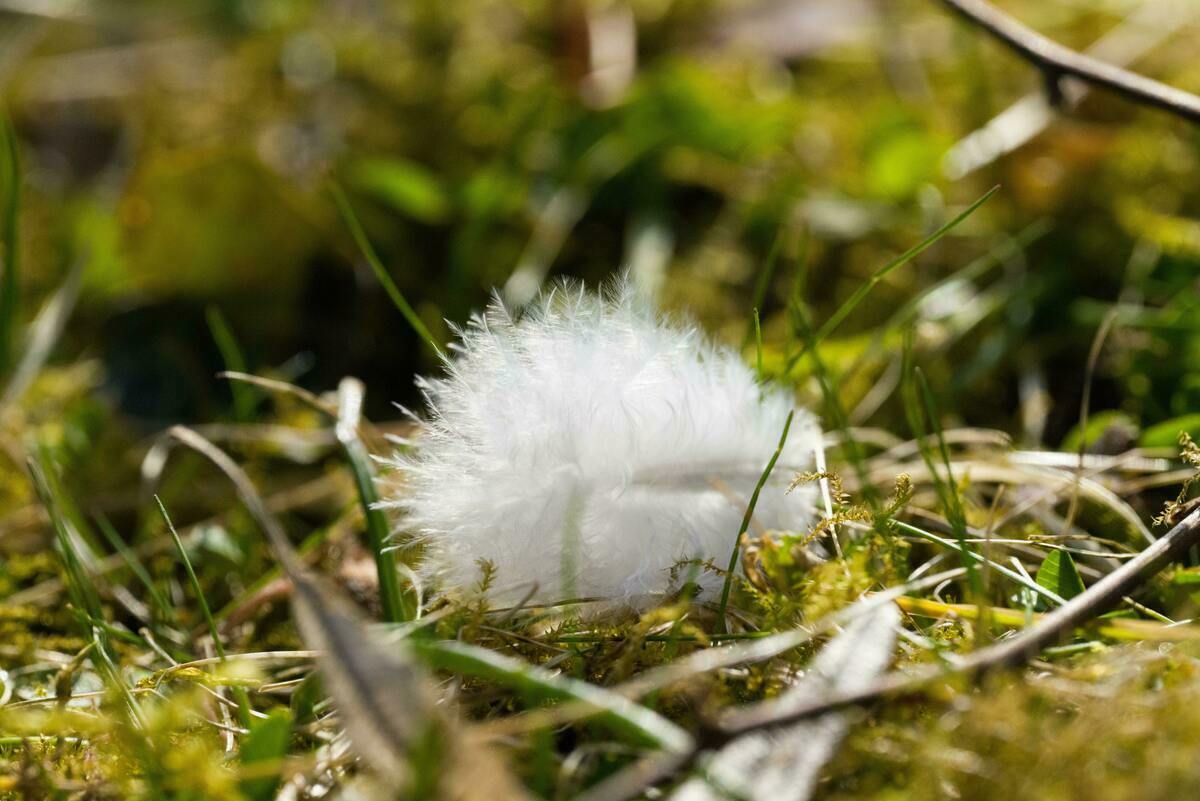 ダウンの寝袋（シュラフ）おすすめ10選！登山や冬キャンプの必須