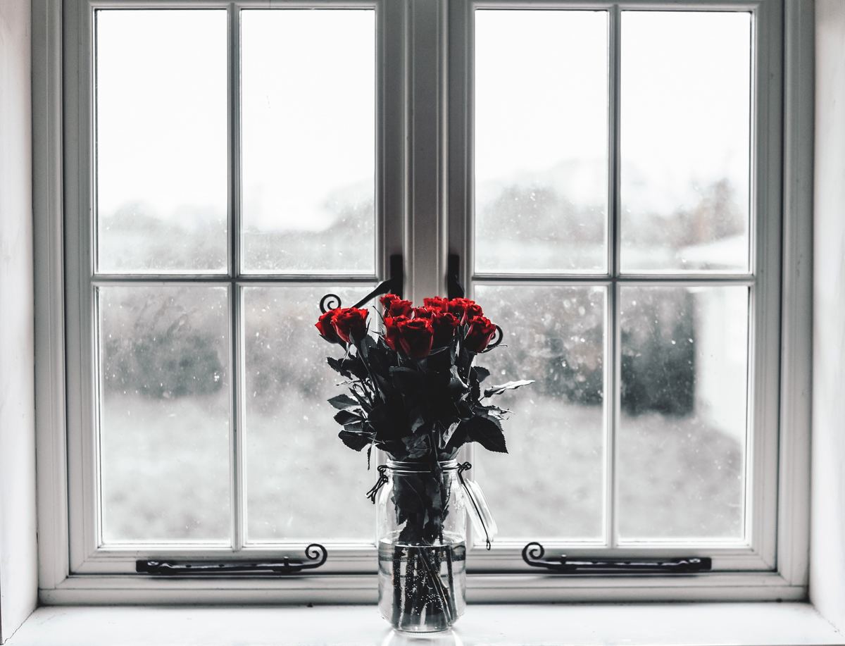 窓と花