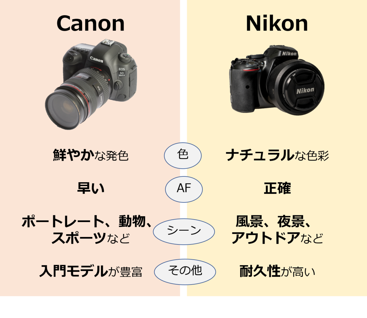 2023年】キヤノン一眼カメラおすすめ7選｜ニコンと比較！ 初心者～プロ