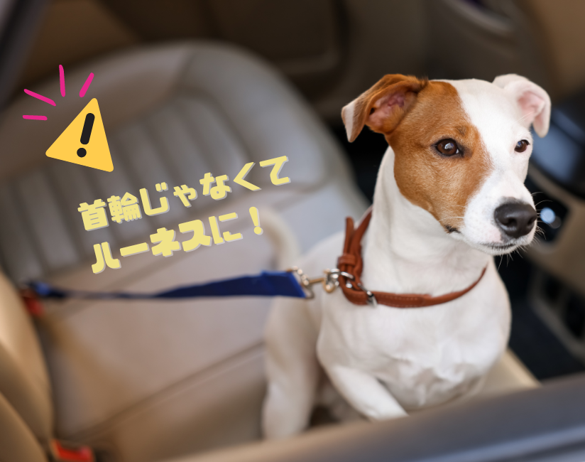 【色: グリーン】Charming Decoration 犬 シートベルト ペッ