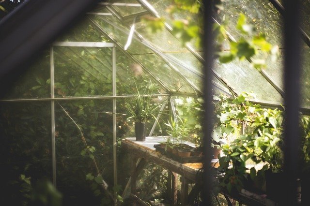 家庭用温室のおすすめ12選 ガラス製 ビニール製 ラックタイプなど幅広く紹介 マイナビおすすめナビ