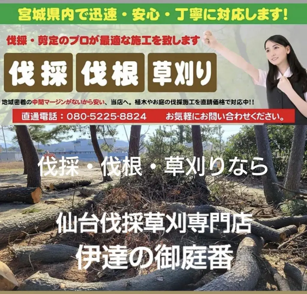 宮城のおすすめ植木屋9選！剪定・草刈り・伐採業者の費用相場と料金を安くするコツ | マイナビおすすめナビ