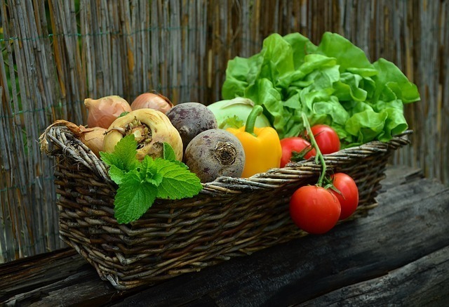 野菜用肥料おすすめ10選 ガーデニング研究家に聞く 種類や成分も徹底解説 マイナビおすすめナビ