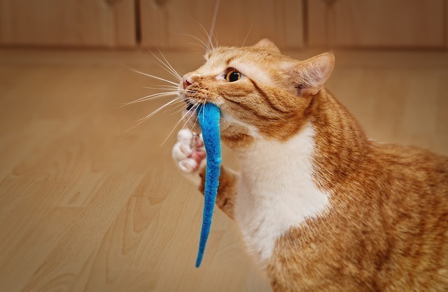 お1人様1点限り】 愛猫ちゃんへ❣️ 猫おもちゃ 猫じゃらし キャット動物ぬいぐるみ またたびぐ